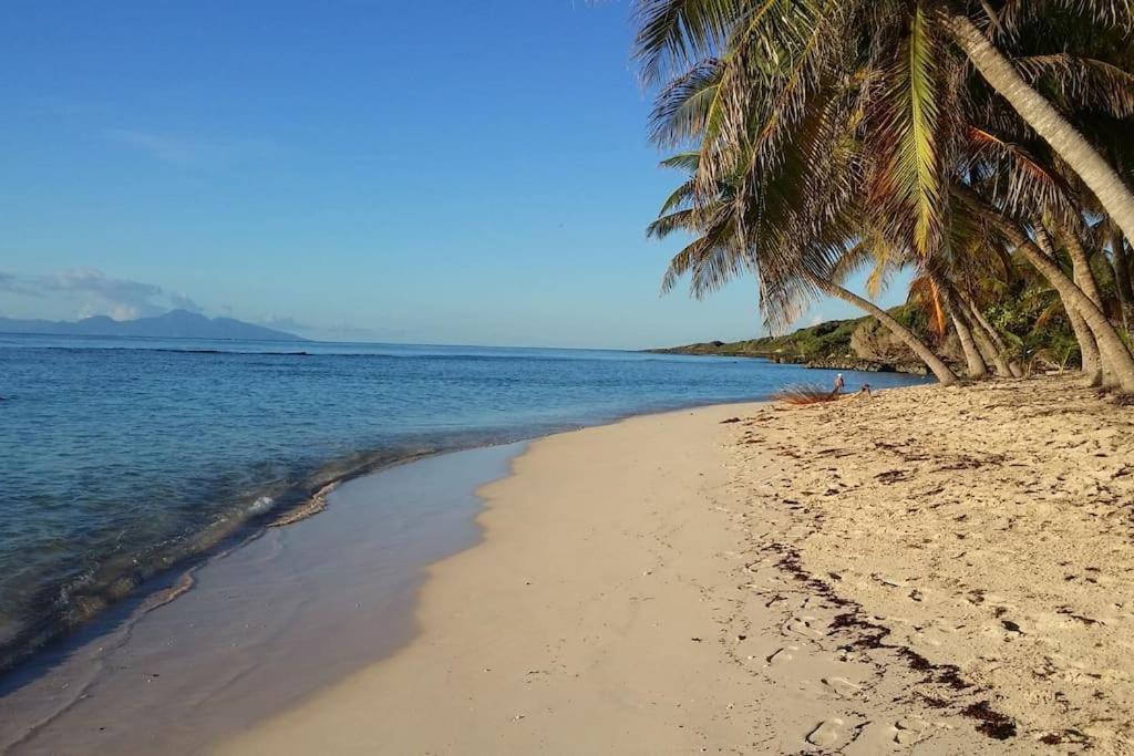 Villa La Favorite Capesterre Ngoại thất bức ảnh